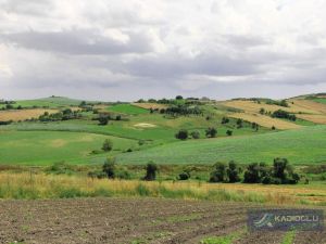 dursunkoy_107_ada_5_parsel_resim_0_32 (1).JPG